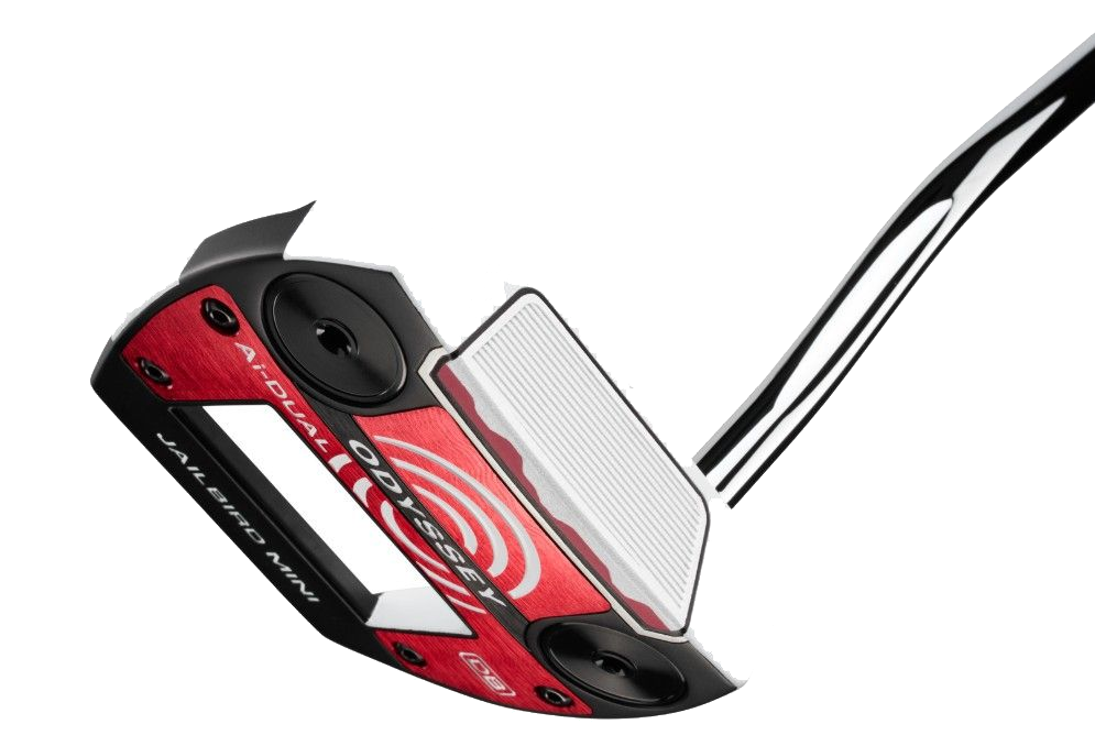 Putter Ai Dual Jailbird Mini DB