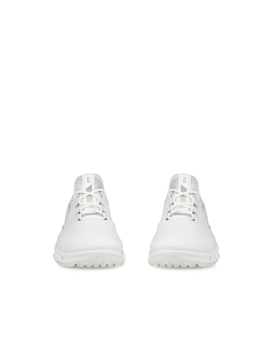 Biom C4 Hybrid Golf Shoe Men