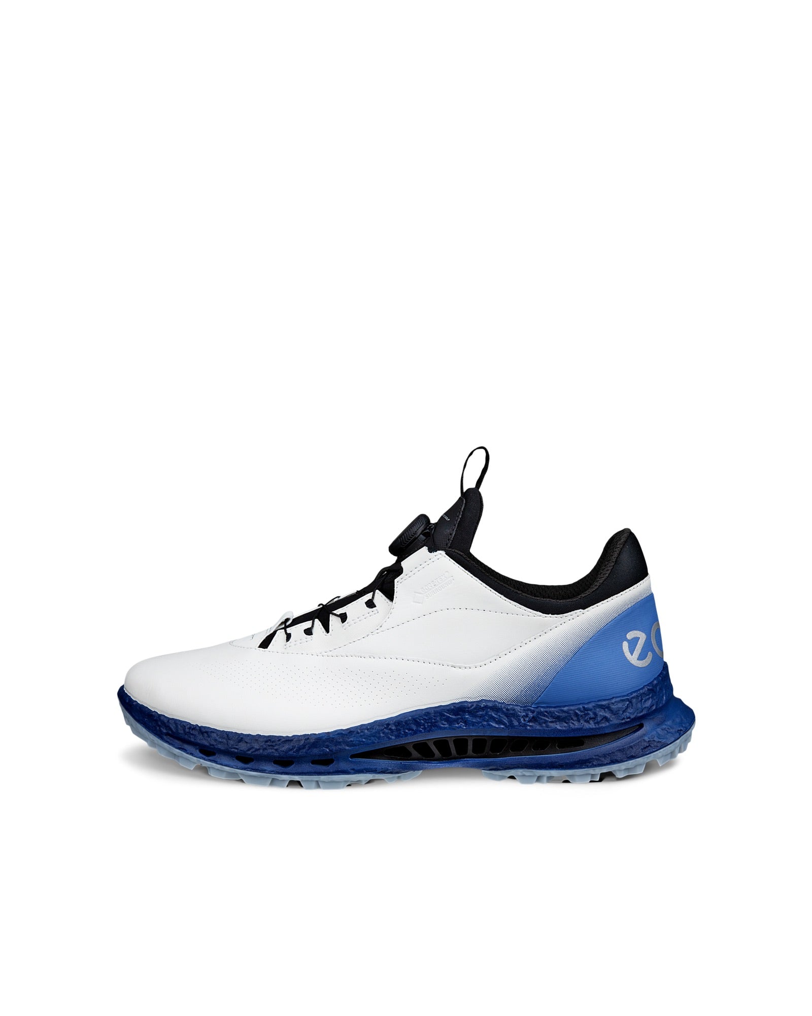 Biom C5 Boa Men's Golf Shoe