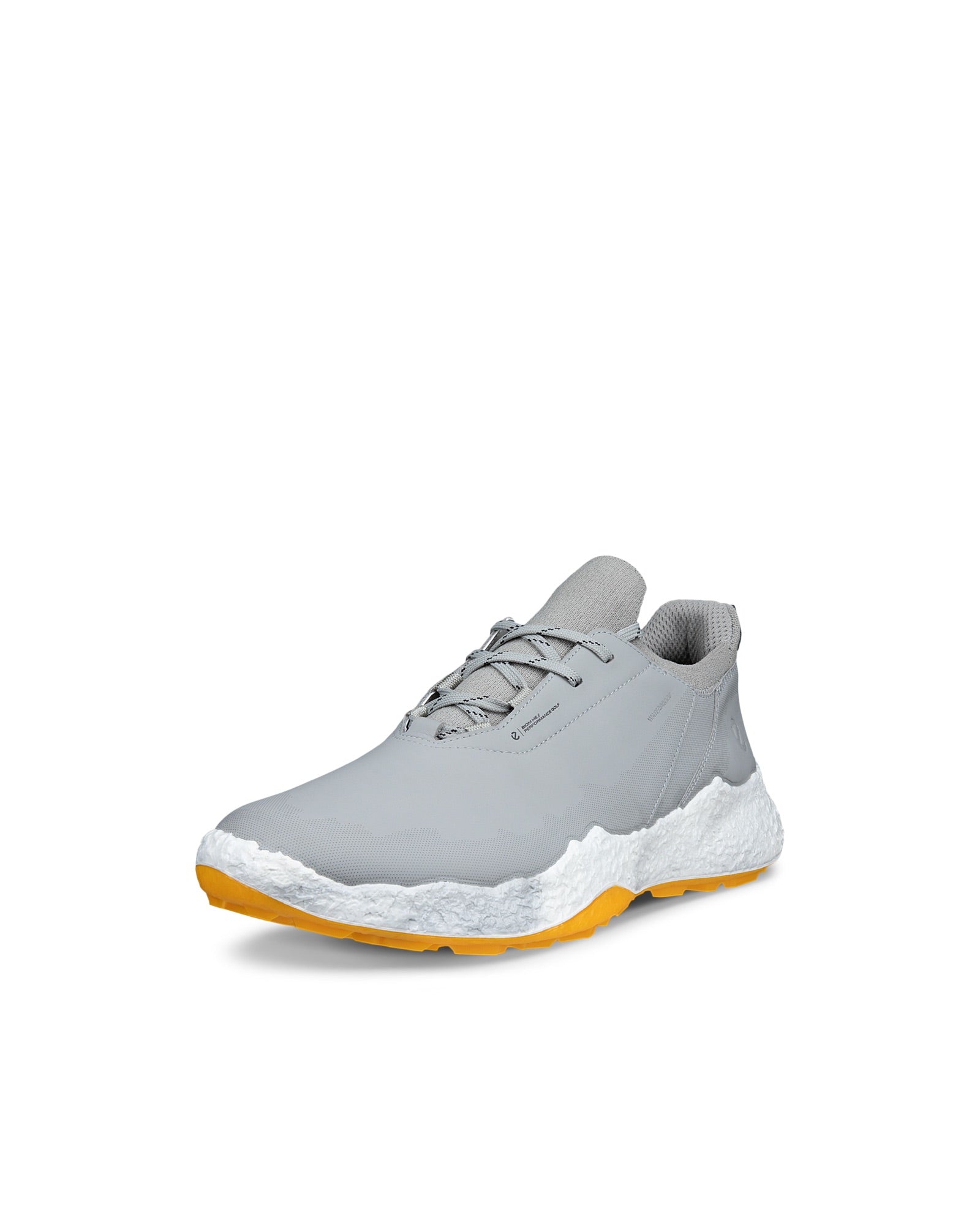 Biom H5 Men's Golf Shoe