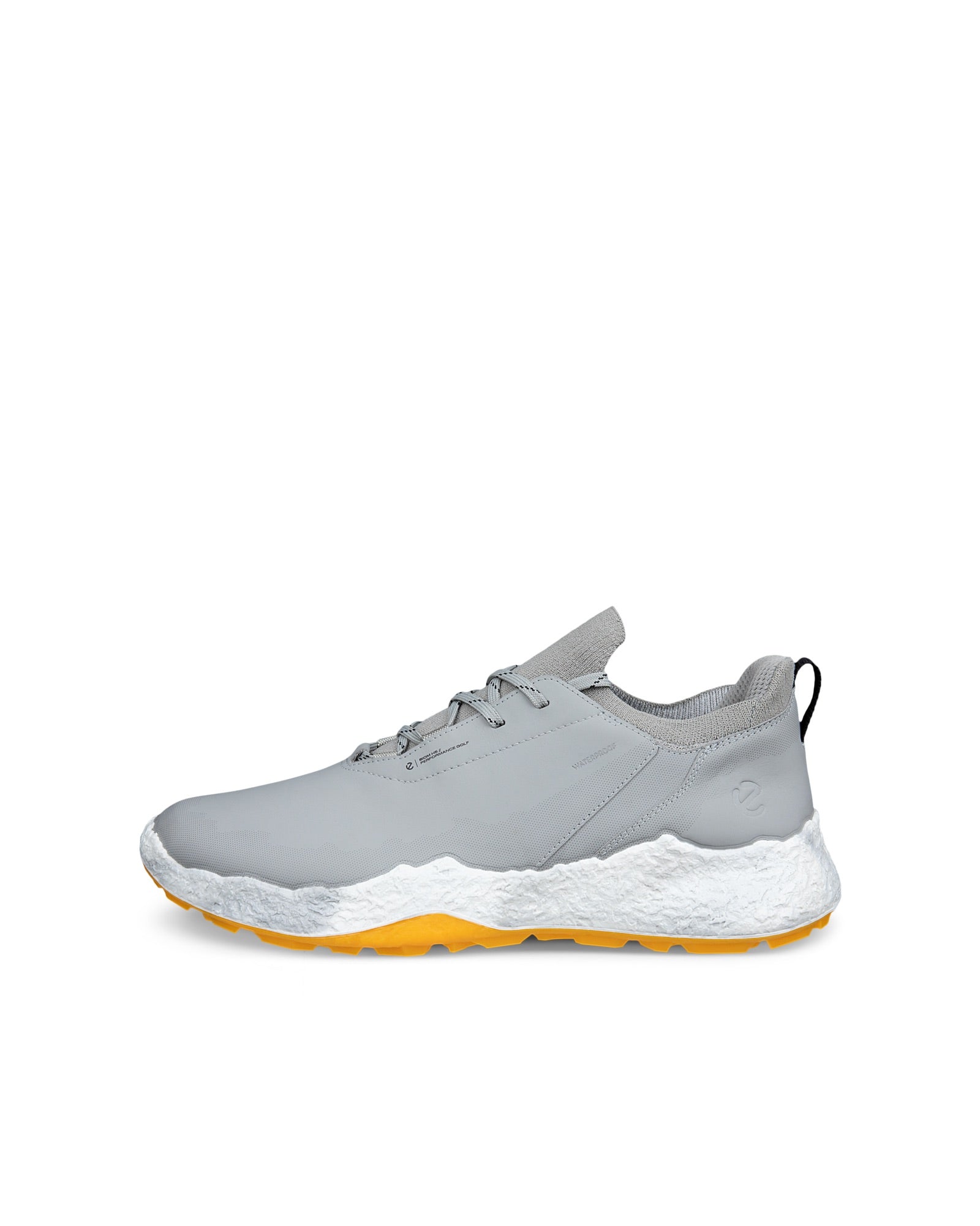 Biom H5 Men's Golf Shoe