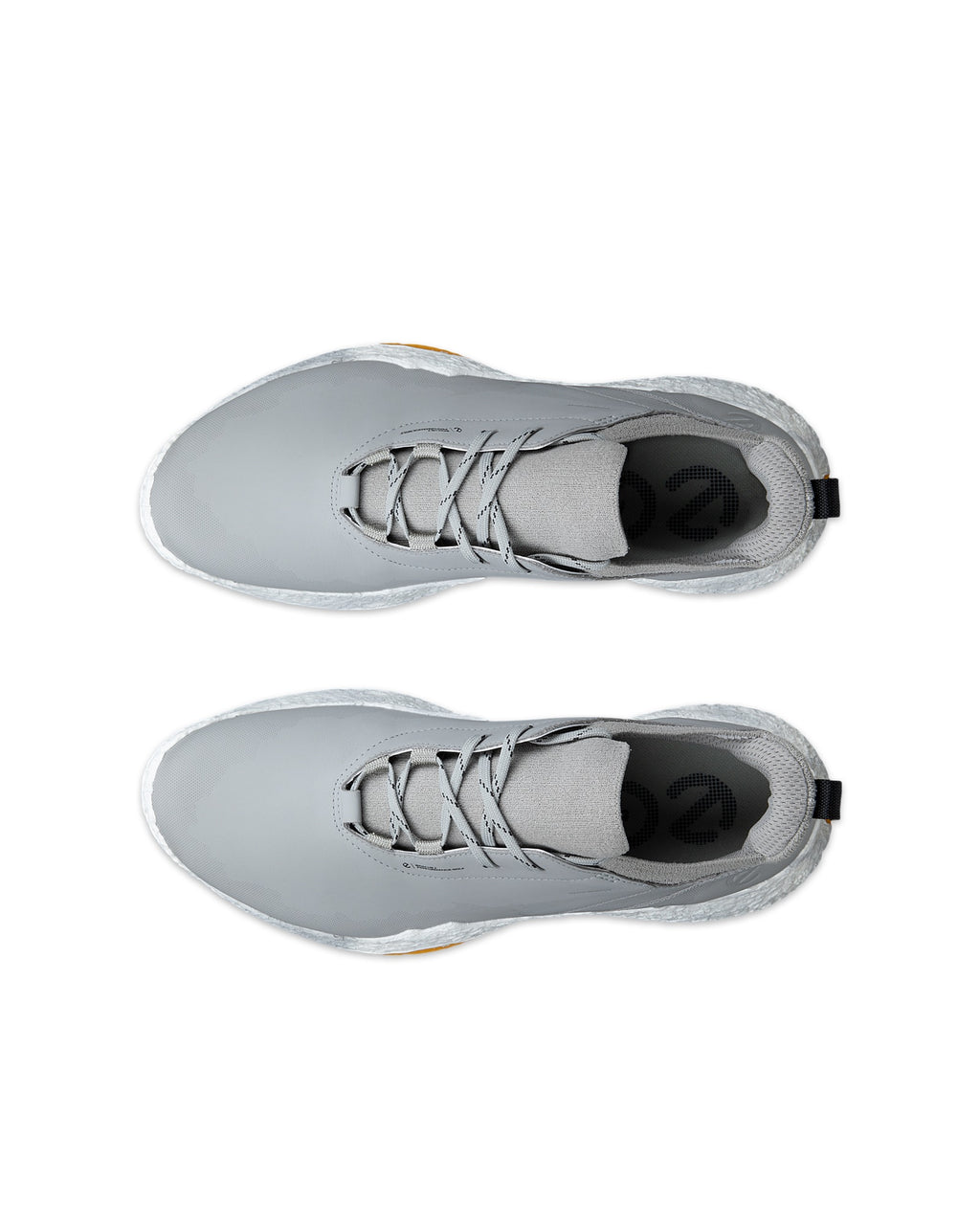 Chaussures de golf Biom H5 pour hommes