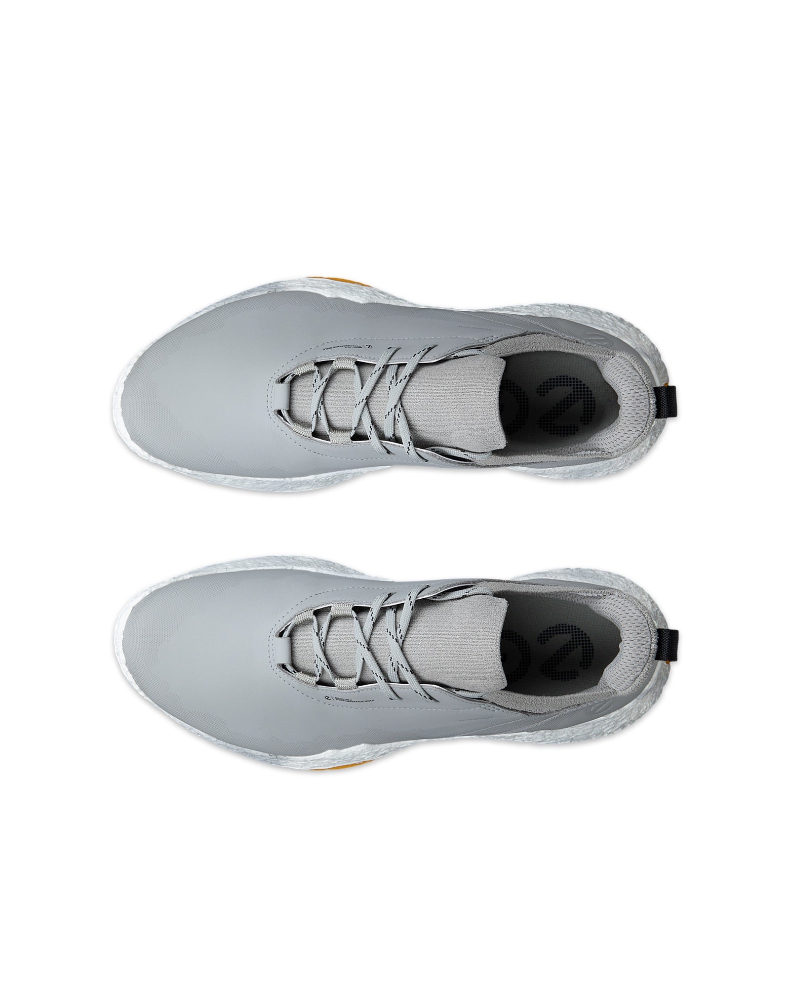 Biom H5 Men's Golf Shoe