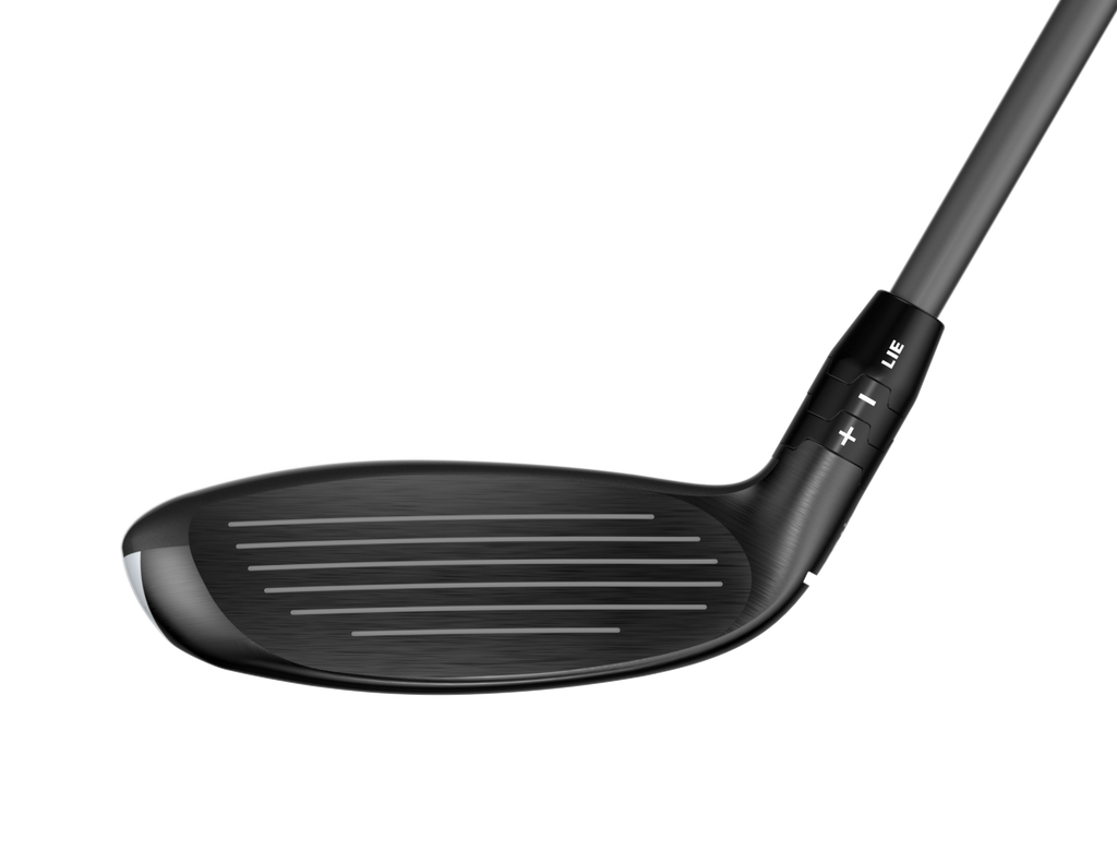 Quantum Max OS Hybrid