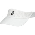 PF Visor