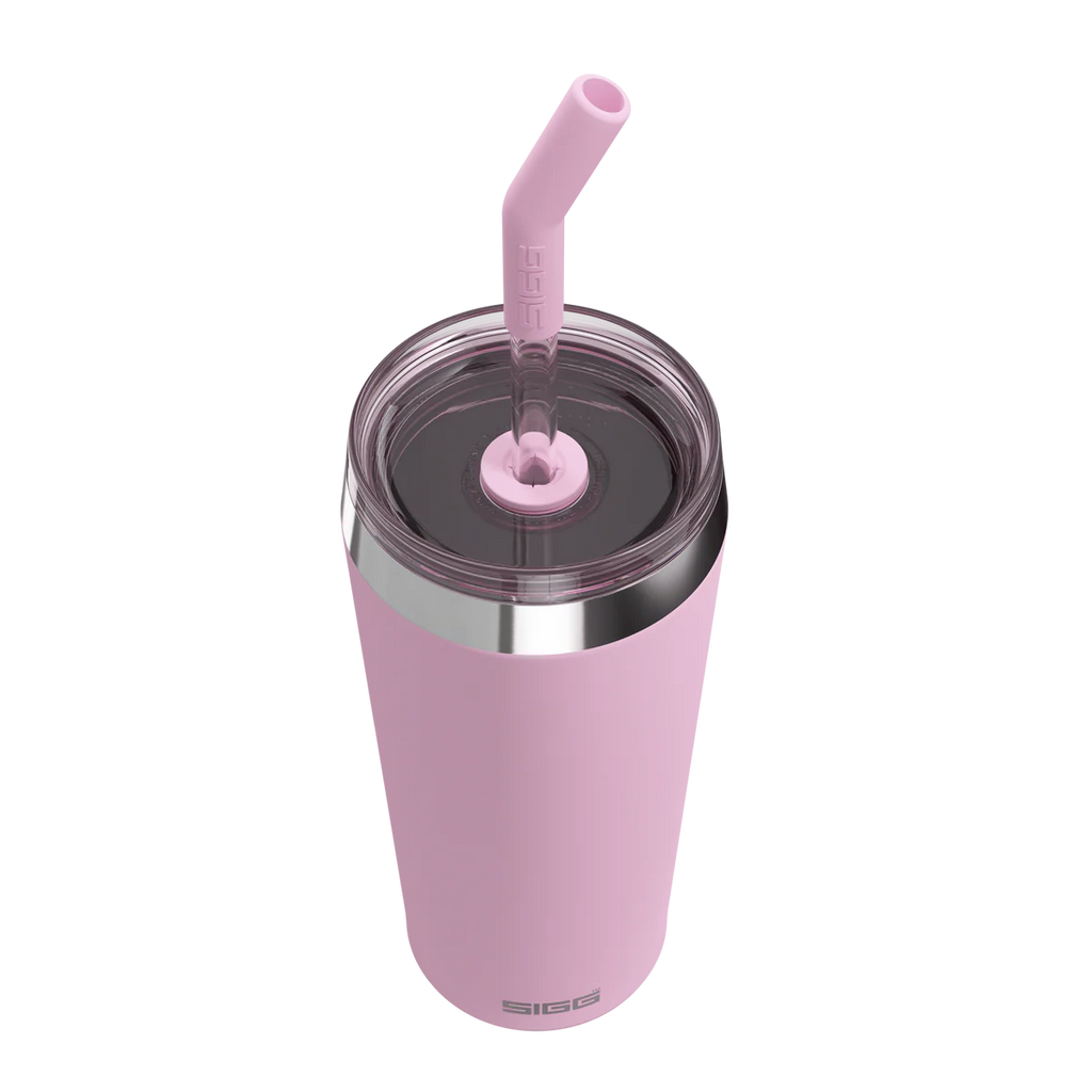 Gourde Helia Lingon berry