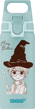 WMB Harry Potter Trinkflasche