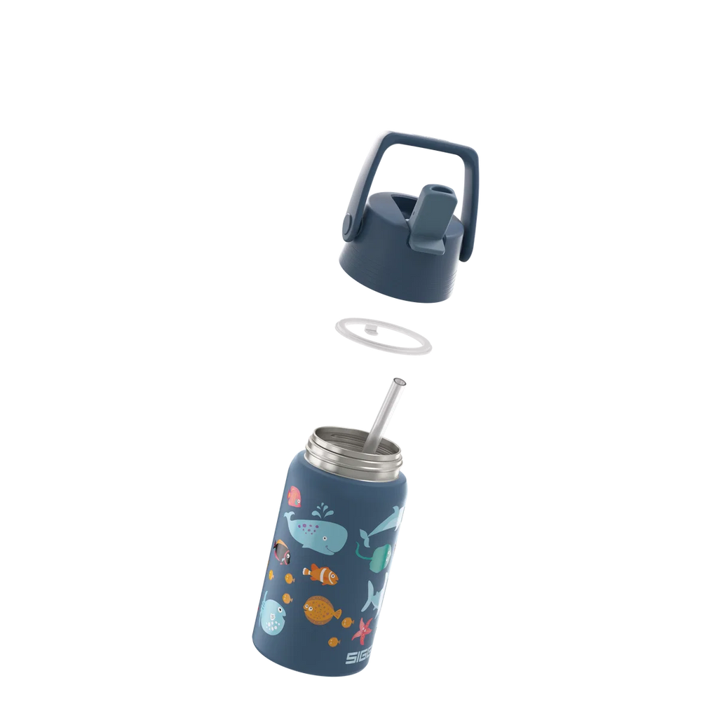 Shield Flip Ocean Trinkflasche