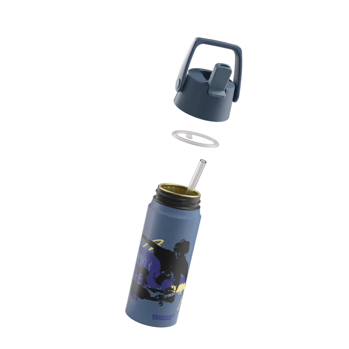 WMB Flip Free Line Water Bottle