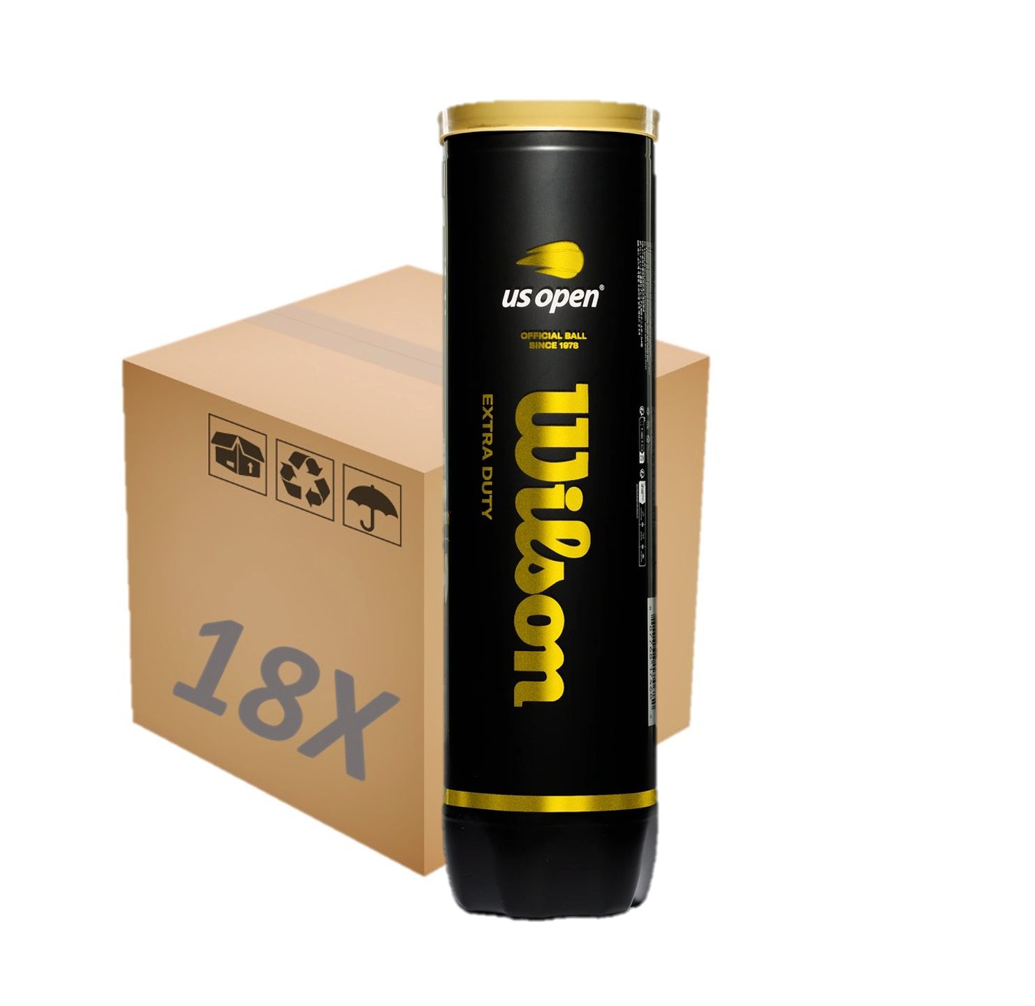 Palline da tennis US Open Extra Duty SWISS 18x4