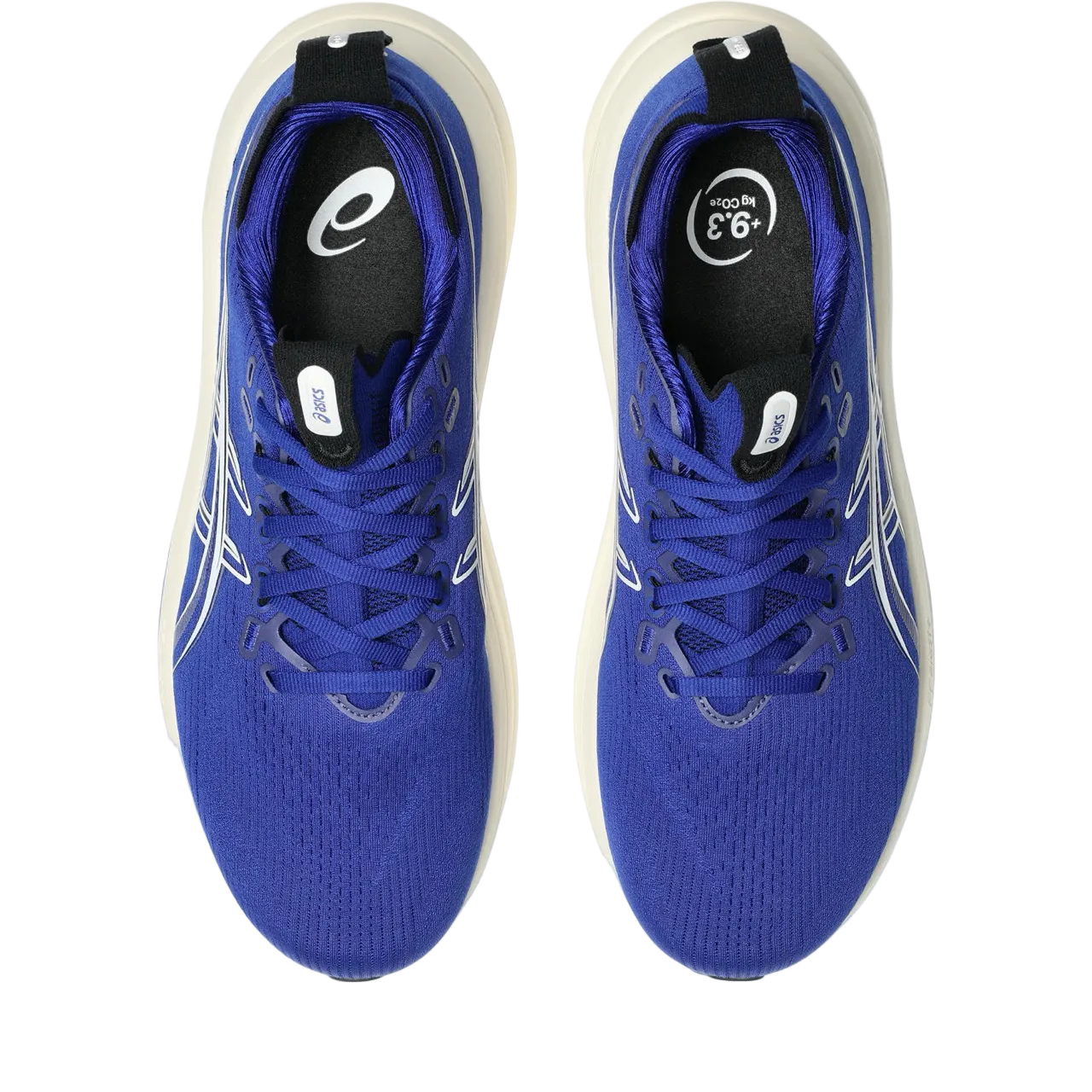 Gel-Nimbus 28 running shoe for men