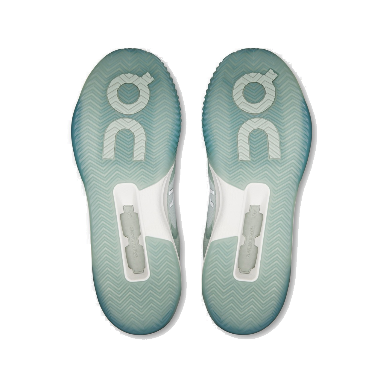 Chaussure de tennis pour homme THE ROGER Advantage Pro sur terre battue