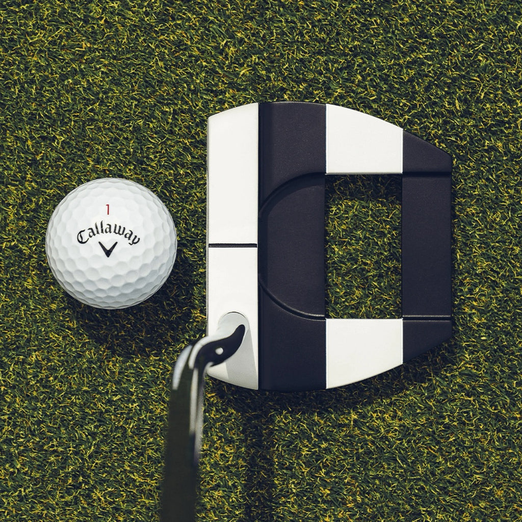 Mini putter Ai-Dual Jailbird