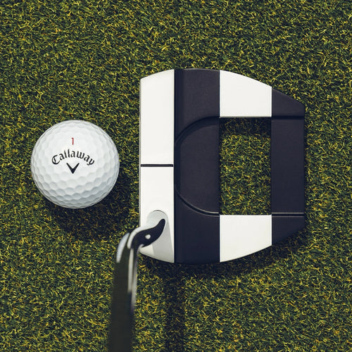 Ai-Dual Jailbird Mini Putter