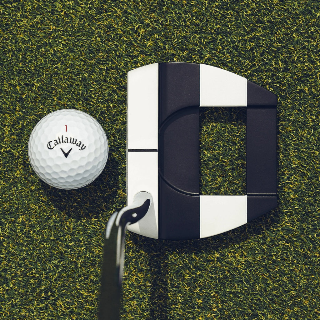 Putter Ai Dual Jailbird Mini DB