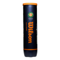 Roland Garros Clay 4 ball can