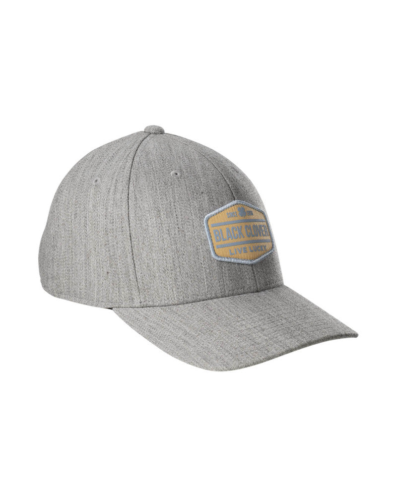 Lifestyle Snapback Cap Grau