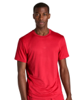 Everyday Performance T-Shirt Herren Varsity Rot