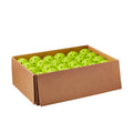 TRU 32 Pickleball scatola da 48 palline