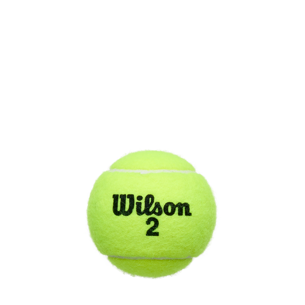Championship Extra Duty 3-Ball Can