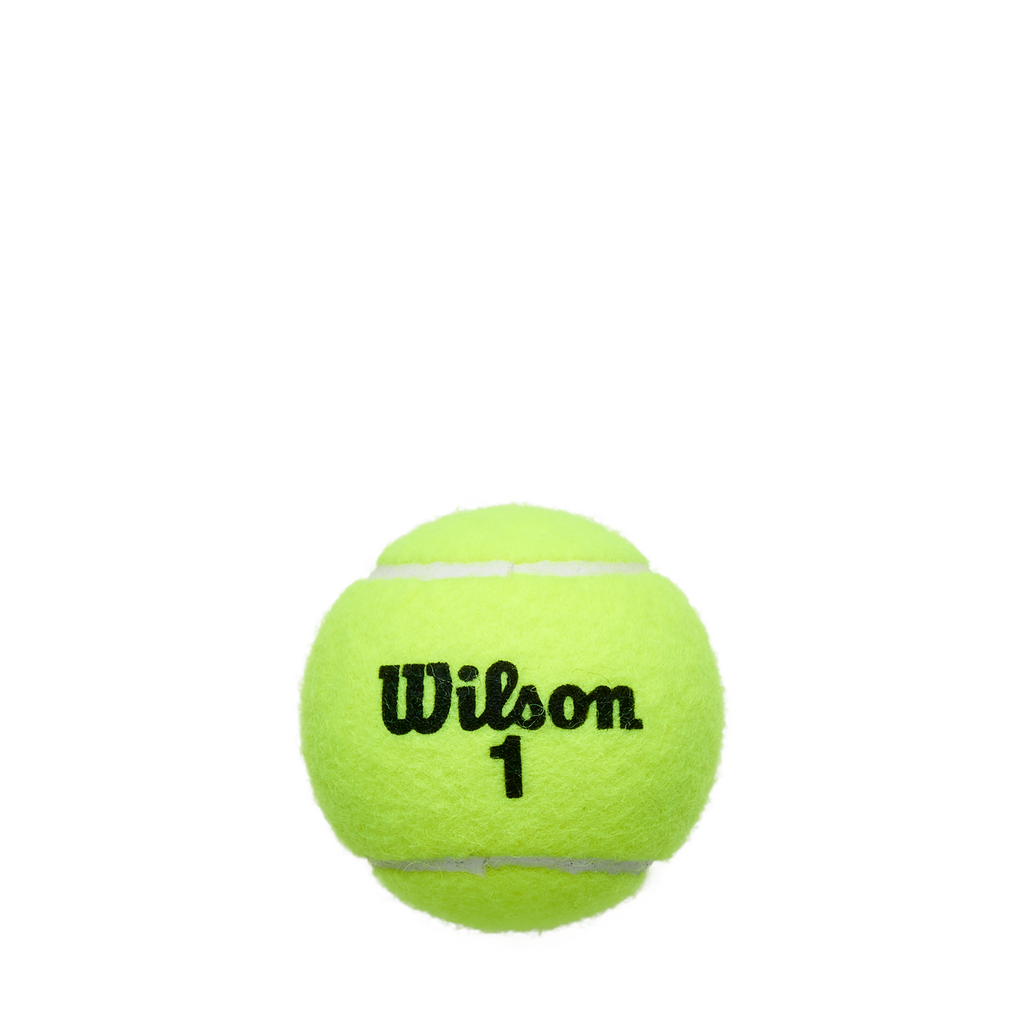 Championship Extra Duty 4er Balldose