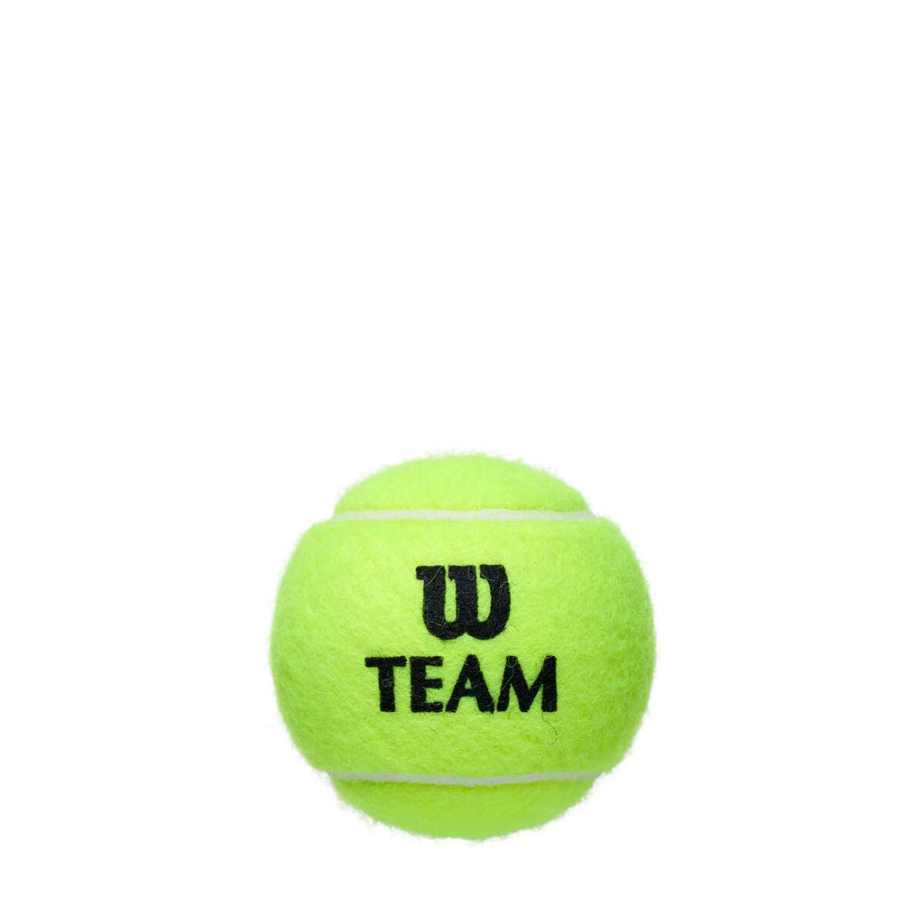 Team Practice Tennis Balls 4pcs