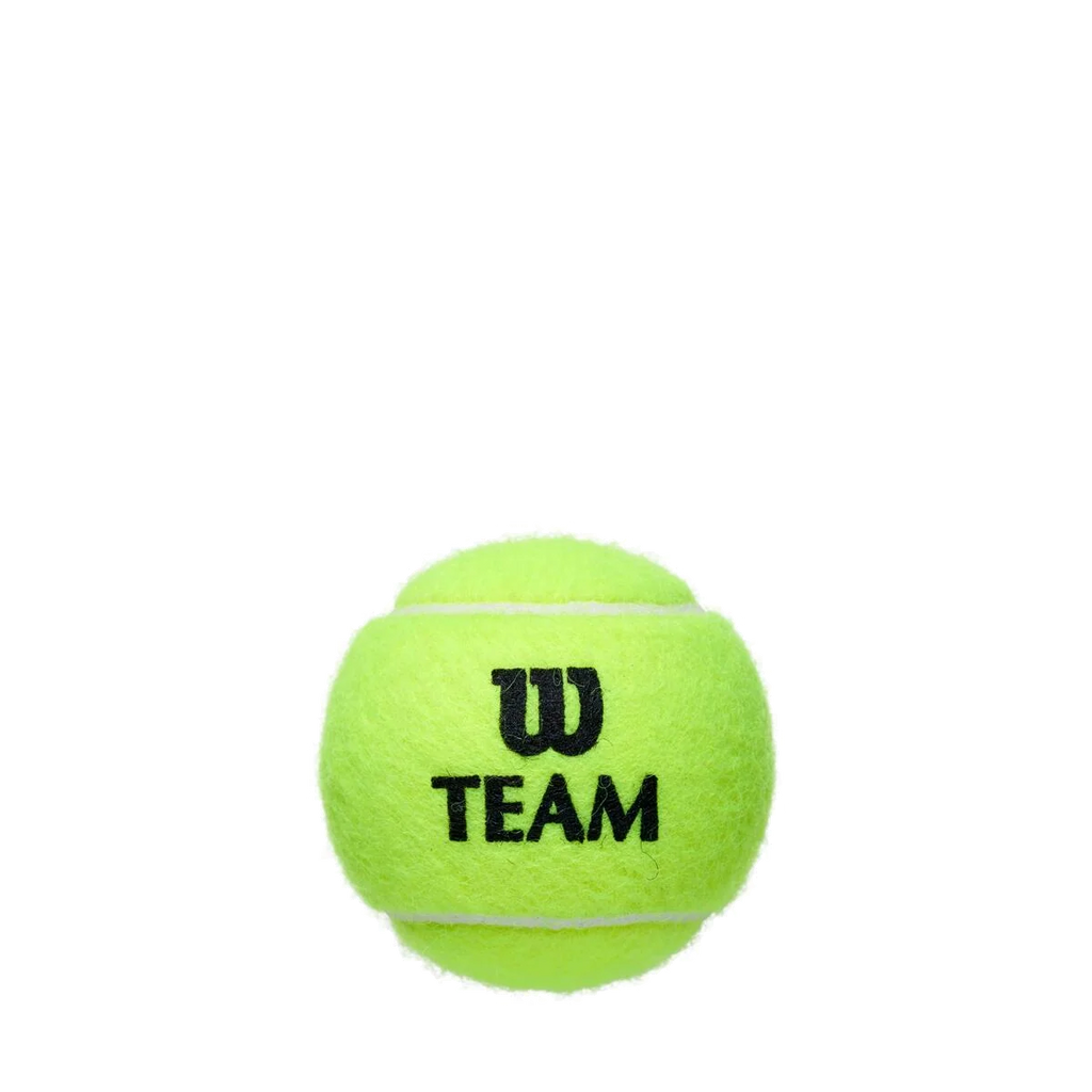 Team Practice Tennisbälle 18x 4er Dose