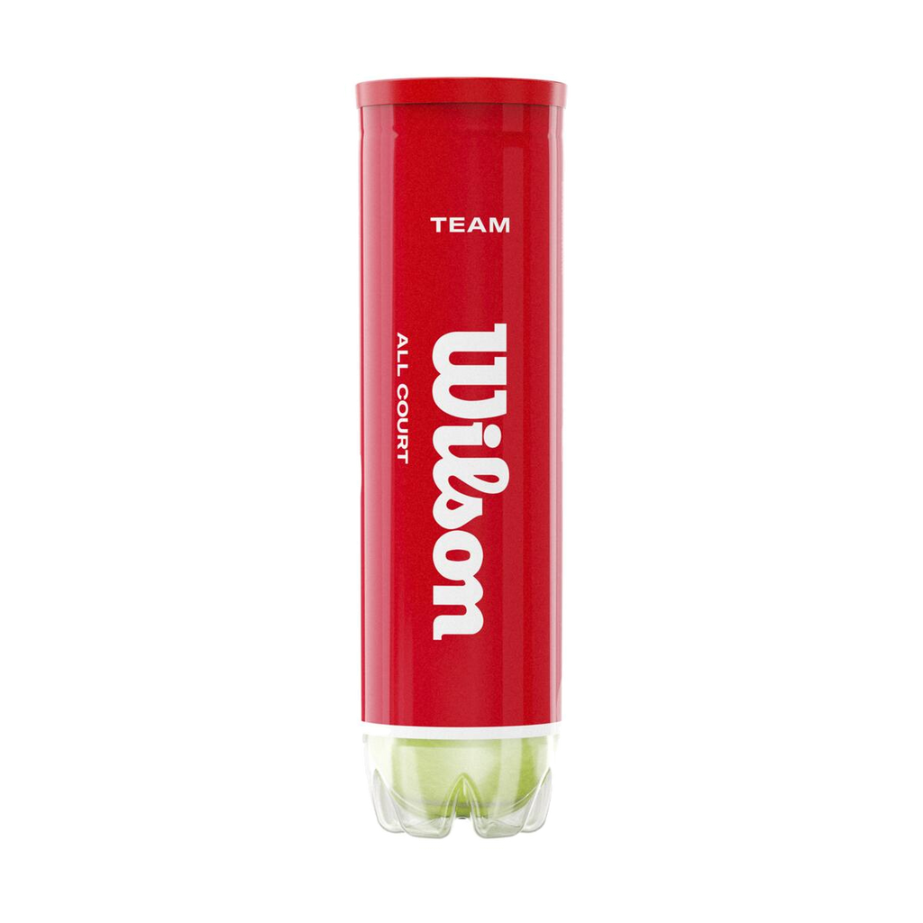 Team Practice Tennis Balls 4-Ball Can