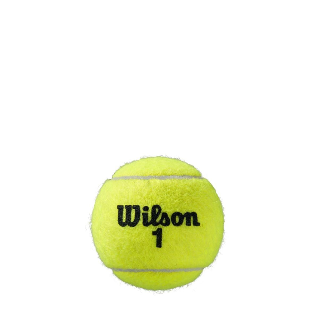 Roland Garros All Court Tennisbälle 4er