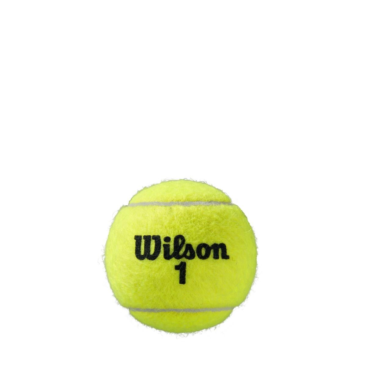 Roland Garros All Court Tennisbälle 4er
