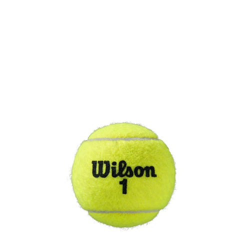 Roland Garros All Court Tennisbälle 4er