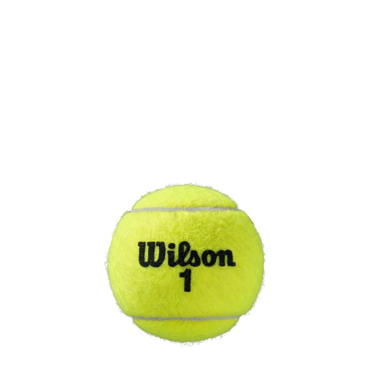 Roland Garros All Court Tennis Balls - 4 Pack