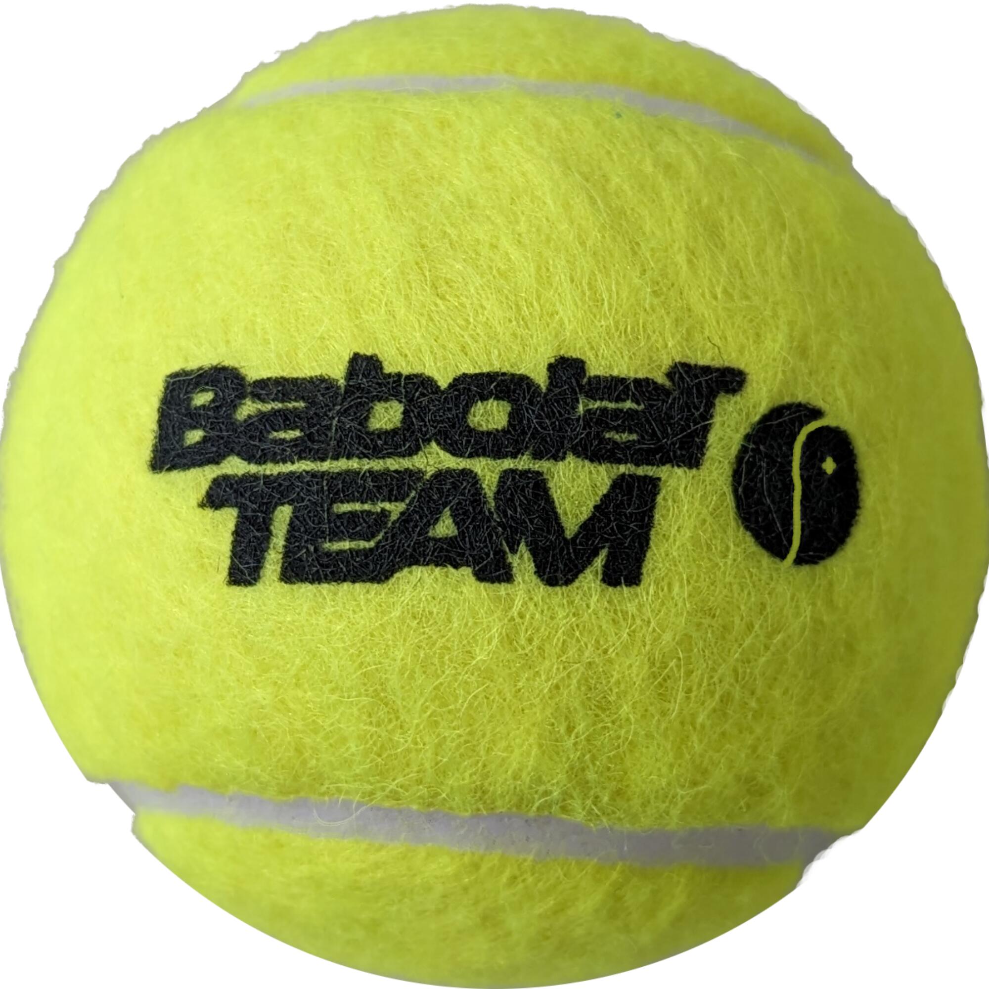 Team Swiss 4er Balldose offizieller Ball
