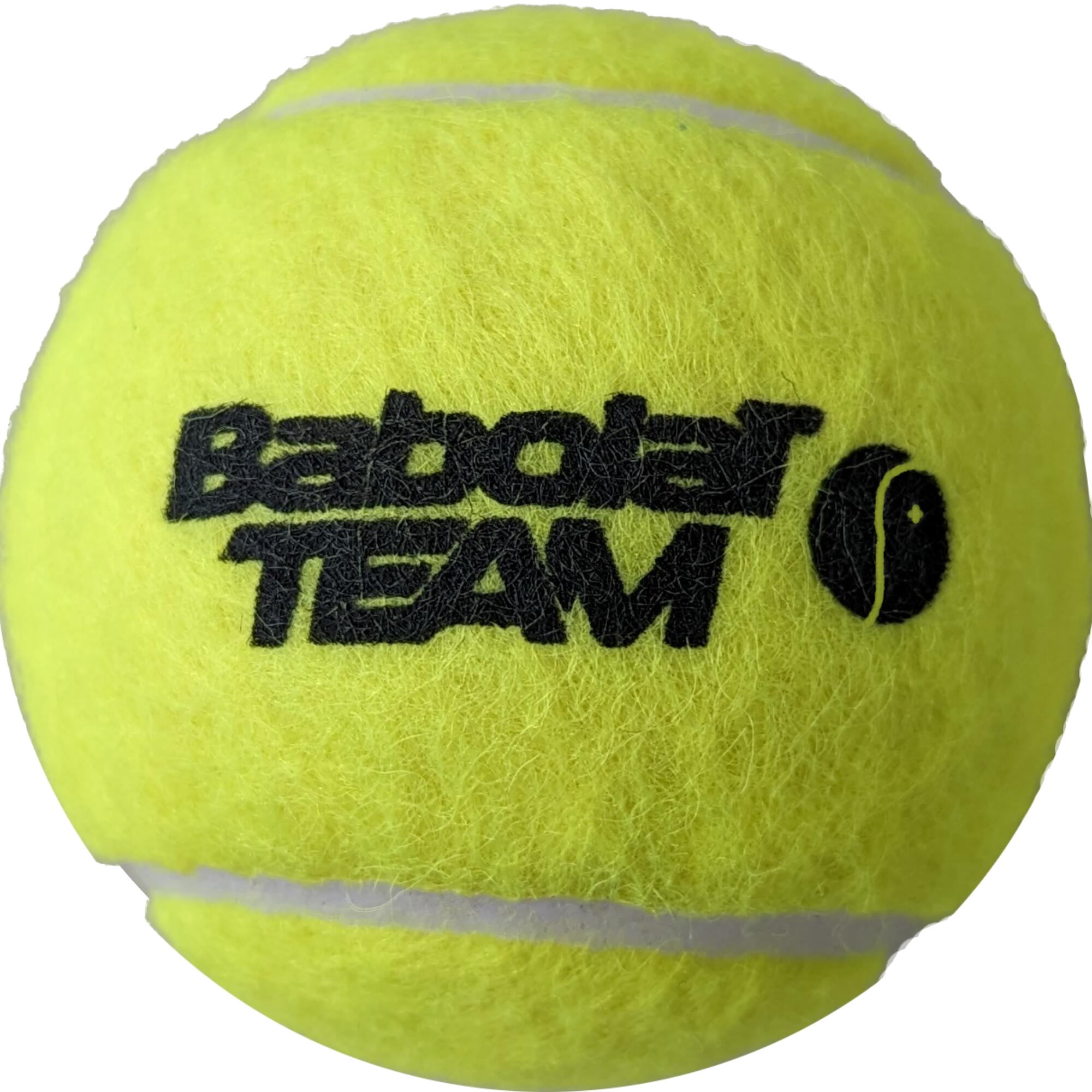 Team Swiss 4 Ball Can Official Ball